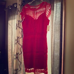 Soleblu red lace dress